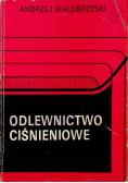 Odlewnictwo ciśnieniowe