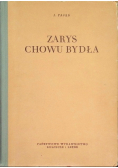 Zarys chowu bydła