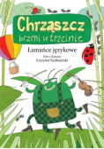 Chrząszcz brzmi w trzcinie