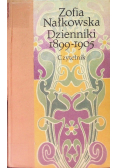 Dzienniki 1899 - 1905