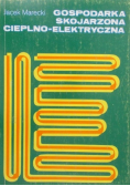 Gospodarka skojarzona cieplno-elektryczna