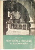 Miasteczka rolnicze w Wielkopolsce