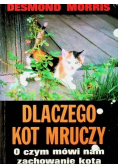 Dlaczego kot mruczy O czym mówi nam zachowanie kota