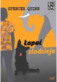 Łapać złodzieja