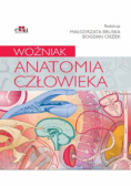 Anatomia człowieka