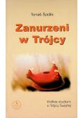 Zanurzeni w Trójcy
