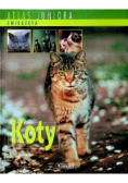 Atlas juniora Koty