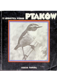 Z lornetką wśród ptaków