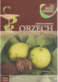 Orzech czarny
