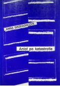 Anioł po katastrofie