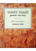 Górny Śląsk przed stu laty