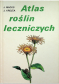 Atlas roślin leczniczych