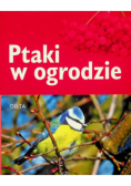 Ptaki w ogrodzie
