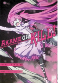 Akame ga Kill Tom 10