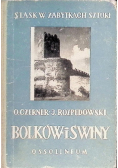 Śląsk w zabytkach sztuki Bolków i Świny