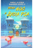 Jedna noc z życia psa