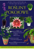 Rośliny pokojowe