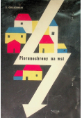 Piorunochrony na wsi