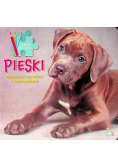 Pieski Książeczka z puzzlami i kolorowankami