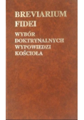 Breviarium fidei Wybór doktrynalnych wypowiedzi Kościoła