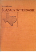 Ślązacy w Teksasie