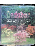 Ozdobne krzewy i pnącza