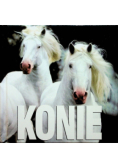 Konie