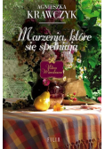 Marzenia które się spełniają