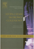 Stopa i staw skokowo-goleniowy