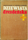 Dziewiąta drezdeńska
