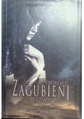 Zagubieni w czasie