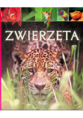Zwierzęta