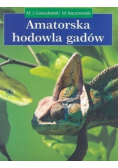 Amatorska hodowla gadów