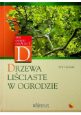 Drzewa liściaste w ogrodzie