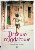 Drzewo migdałowe
