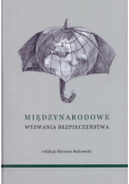 Międzynarodowe Wyzwania Bezpieczeństwa