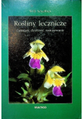Rośliny lecznicze