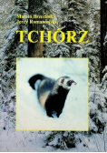 Tchórz