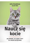Naucz się kocie
