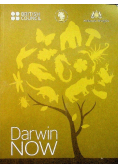 Darwin now