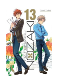 Mistrz Romansu Nozaki Tom 13
