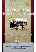 Przeciwdziałanie bezrobociu w gminach