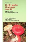 Grzyby jadalne i ich trujące sobowtóry