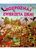 Rozpoznaj zwierzęta ziemi
