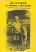 Ułamki stłuczonego lustra