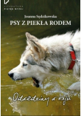 Psy z piekła rodem. Odwiedziny w raju