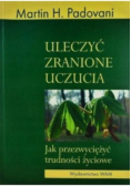 Uleczyć zranione uczucia