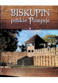 Biskupin polskie Pompeje