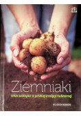 Ziemniaki cenne warzywo w polskiej tradycji kulinarnej