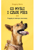 Co myśli i czuje pies